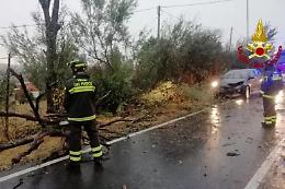 Dopo l'afa piogge torrenziali e fiumi in piena: notte di allagamenti al Nord e frana con 45 evacuati in Valtellina