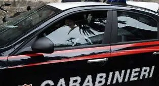 Tentata spaccata all&rsquo;alba a Barrafranca: camion ariete fallisce, sistema di macchiatura salva la cassaforte di Acqua e Sapone
