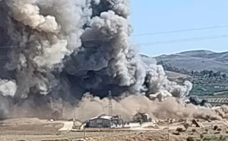Piazza Armerina, devastante incendio in contrada Colla: distrutto allevamento intensivo, strage di 300mila volatili