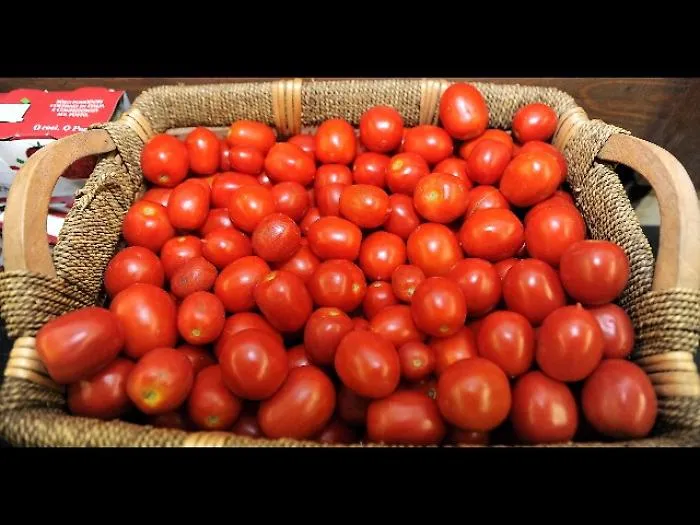 S'impenna l'&laquo;oro rosso&raquo; siciliano: +142% la produzione in 5 anni