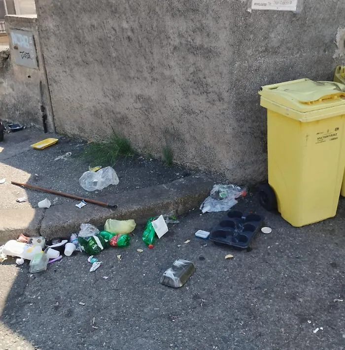 Viale Fleming, rifiuti abbandonati accanto ai cassonetti