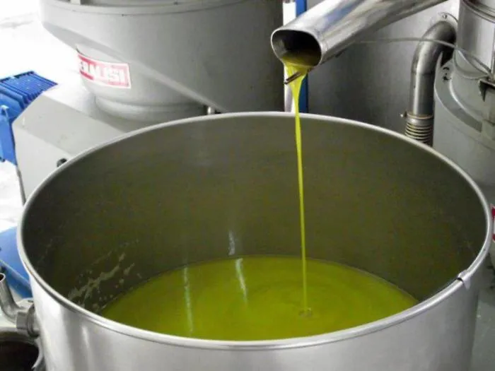 In mezza Sicilia si ferma la raccolta delle olive: &laquo;A 6,70 euro al kg non copriamo le spese&raquo;, Comuni con gli agricoltori